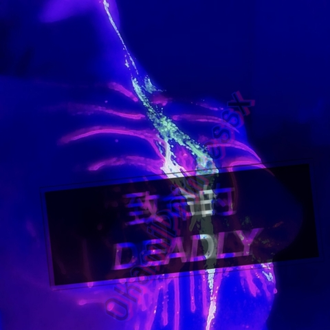 OkamiPrincessPromotions